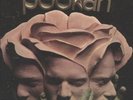 Pookah 
