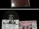 NOFX original Liberal Animation - very RARE - punk fat