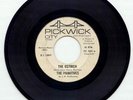 RARE Pre VU LOU REED Primitives Ostrich Sneaky Pete 45