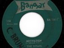 Excellent 1964 MN surf 45 - THE TITANS - Bangar