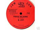 Barrington Levy - Praise His Name 12