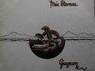 Meic Stevens - Gwymon 1972 Vinyl Welsh Folk LP
