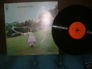 trees.on the shore.uk  cbs64168,mega rarity