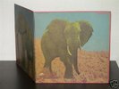FOOD BRAIN/Social Gathering Japan heavy psych