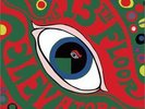 The 13th Floor Elevators LP - 1966 - RARE
