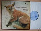BLUE HORIZON: FURRY LEWIS - Presenting The CountryBlues
