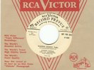 JOHNNY VADNAL PROMO SINGEL WANNA DANCE POLKA
