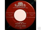 THE RAINDROPS - (I Found) Heaven In Love SPIN-IT