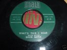 RARE DAVID GATES 45 MALA 413   MINT