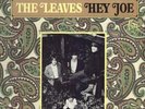 THE LEAVES orig 1966 garage psych HEY JOE