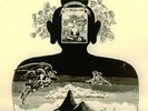 LP- Flower Travellin´Band - Satori JAP Atlantic PSYCH