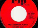 OBSCURE '60s ROCK GINGER ALE-IN THE SAND-Pip 8930