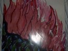 HOTOTOGISU Floating Gardens 3LP [Wolf Eyes Skullflower]