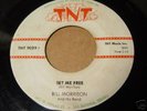 BILL MORRISON on TNT  9029 ROCKABILLY 45  RPM