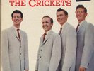 The Sound of The Crickets-Brunswick7