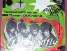 FREAKBEAT KILLER - DRAGONFLY - Celestial Dreams - MOD