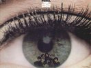 THE FREAK SCENE orig 1967 psych PSYCHEDELIC PSOUL