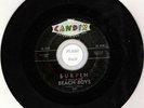 *FLASHBACK* BEACH BOYS 