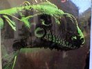 Iguana - 1st self-titled LP - UK Lion Rec.1974 sealed