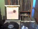 THE GATHERING Nighttime Birds  LP