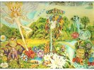 BARRY HAY-ONLY PARROTS FROGS AND ANGELS[DUTCH PSYCH]