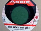 The Holidays-The Stars Will Remember-45-Record-Group