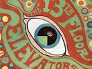 THIRTEENTH FLOOR ELEVATORS Psychedelic Sounds 1968 US