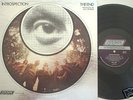 NM- '69 GARAGE-PSYCH LP: THE END (Introspection) fuzz
