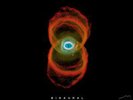 Pearl Jam  Binaural    Vinyl  LP  Sealed