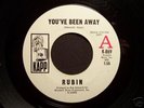 Rare Northern Soul 45 RUBIN on KAPP You've Been Away