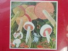 MUTUAL UNDERSTANDING SEALED pop Psych BEN MCPEEK