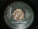 RARE FUNK 45/THE KICKIN MUSTANGS ON PLATO 