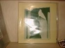 DECIMA VICTIMA - SAME LP SYNTH COLDWAVE