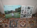 TREES On The Shore LP 1971 1st Press 