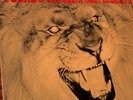 RARE latin Funk PUCHO  prestige Org JUNGLE FIRE