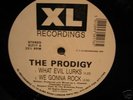 The Prodigy - What Evil Lurks 12