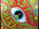 13th Thirteenth Floor Elevators Psychedelic Sounds