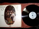 The Wooden O (A handful of Pleasant Delites) psych folk