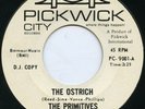 THE PRIMITIVES-Ostrich/Sneaky Pete 7