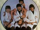 THE BEATLES CASUALTIES BUTCHER COVER  PICTURE DISC RARE