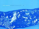 MARC MOULIN PLACEBO SESSIONS 7174 KILLER FUNK BREAKS LP
