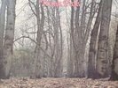 TWINK think pink 1970 rare UK psych German Polydor