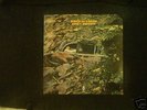 Buffett, Jimmy  Down To Earth  Rare 1st LP and Clean