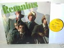 The Remains : 1966 Orig Fuzz Garage Psych Beat LP Mono