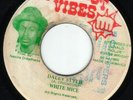 THE FIRST WHITE MICE 45  
