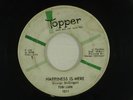 TOBI LARK northern soul HAPPINESS IS HERE TOPPER