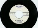 Chips-As You Can See / You Make Me Feel So Good