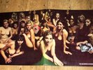 JIMI HENDRIX ELECTRIC LADYLAND LP TRACK BLUE IN AS NEW