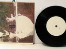 WEIRD NOISE EP STEVE LAKE ( ZOUNDS ) INSTANT AUTOMATONS