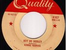 ROCKABILLY 45-RONNIE HAWKINS on QUALITY-Hey Bo Diddley